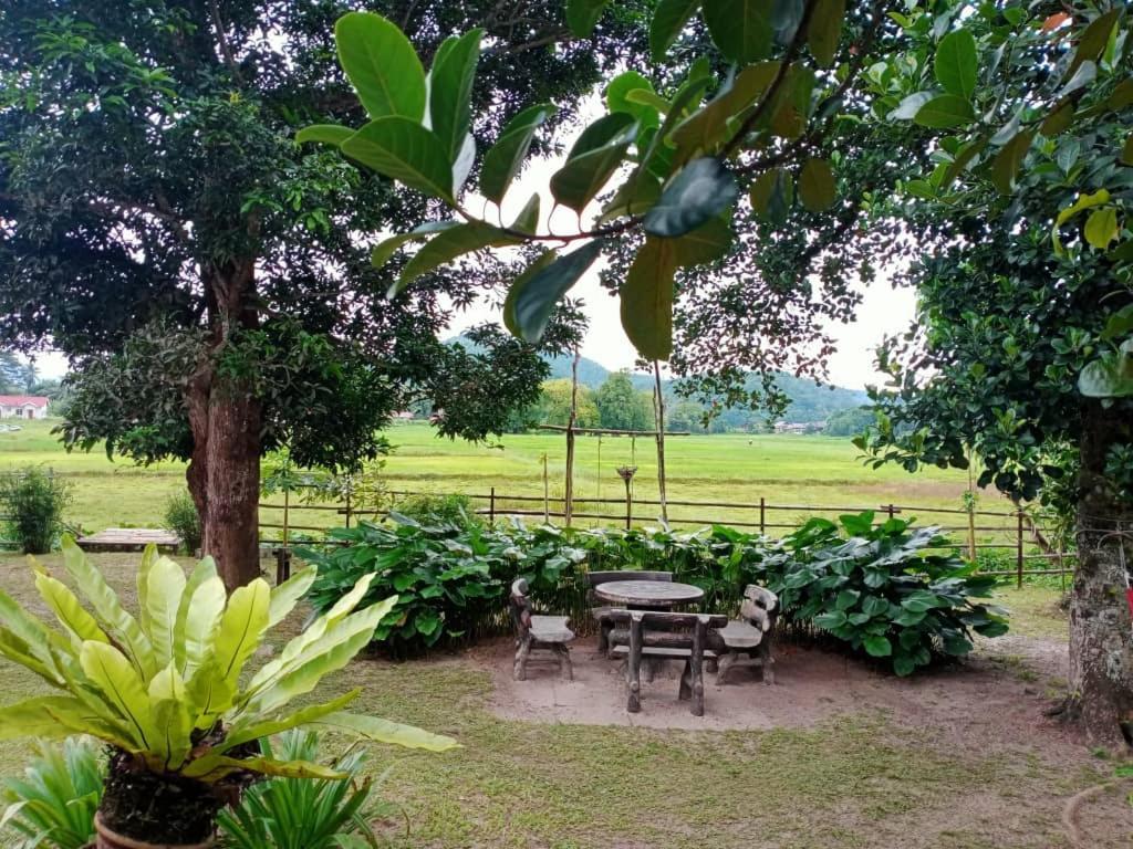 Kampung Tok Lembut Vacation Home Пантай-Сенанг Экстерьер фото