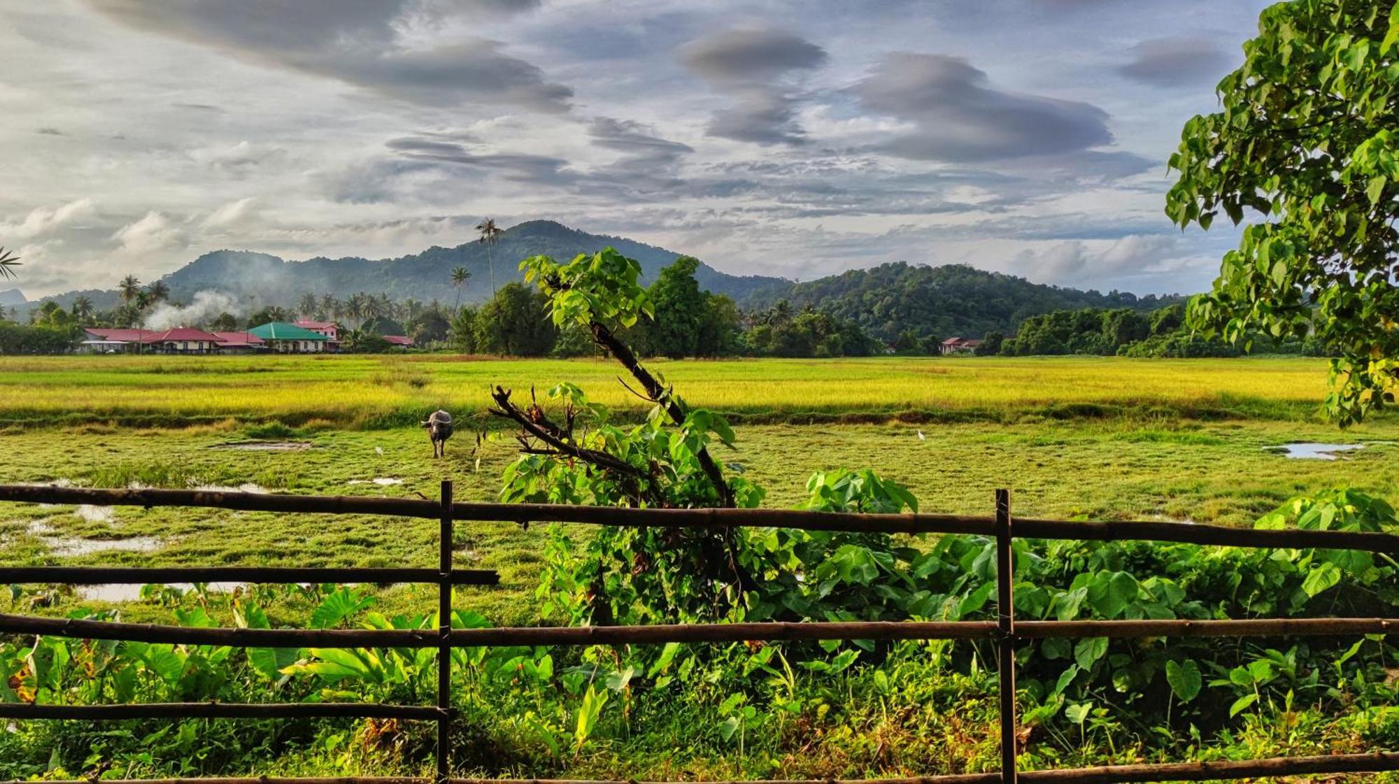 Kampung Tok Lembut Vacation Home Пантай-Сенанг Экстерьер фото