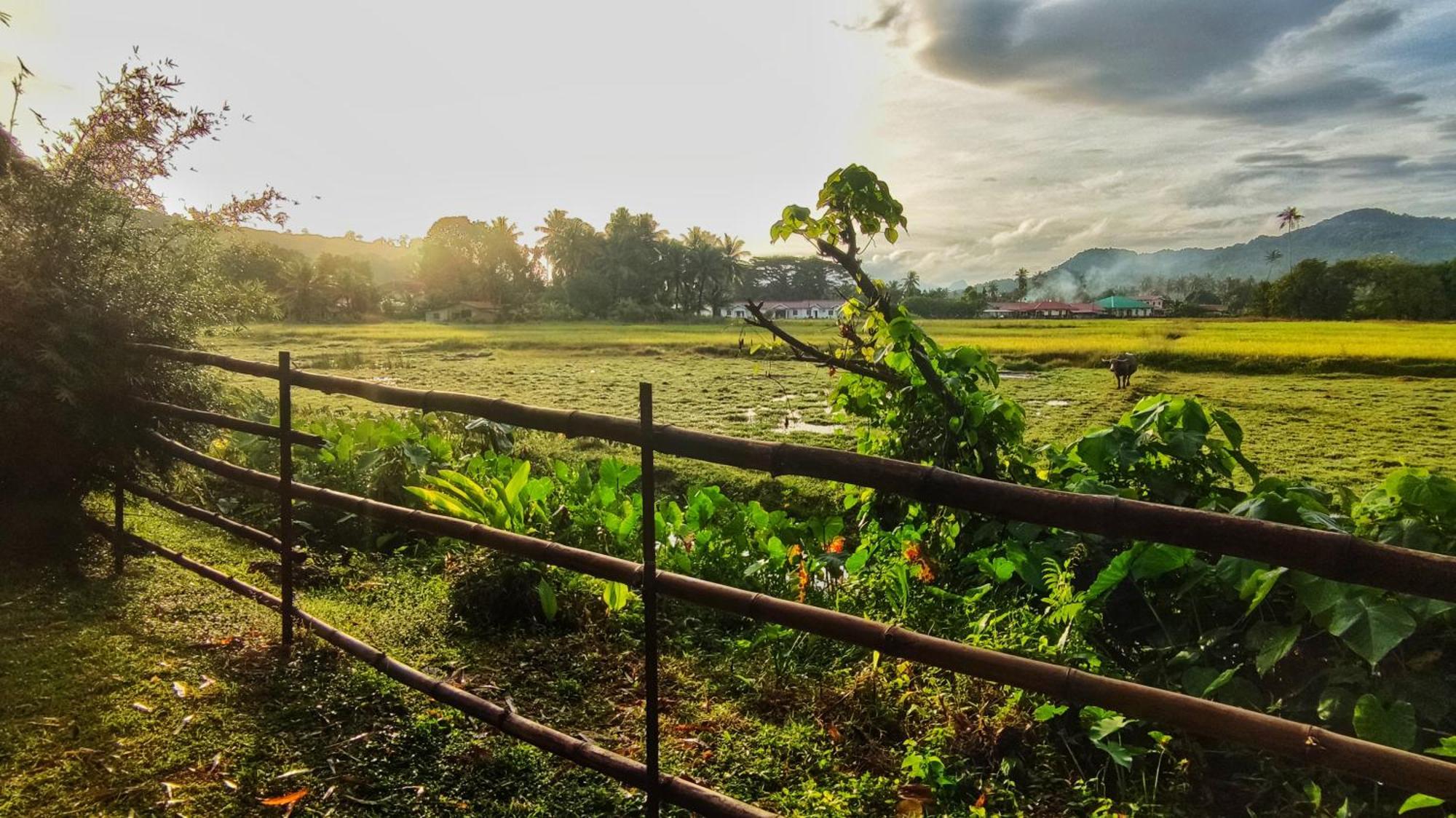 Kampung Tok Lembut Vacation Home Пантай-Сенанг Экстерьер фото